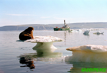 綠色和平遠赴北極，調查氣候變化為當地帶來的的影響。